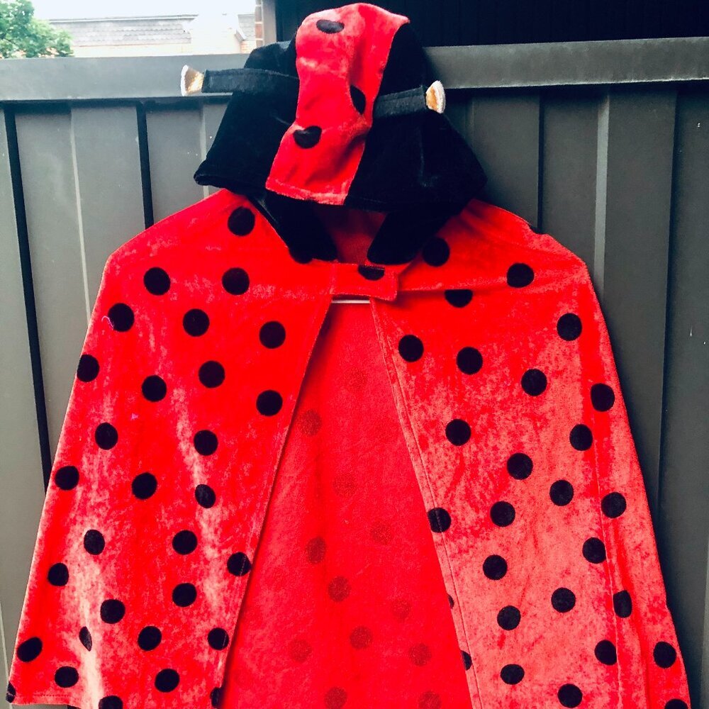 Ladybug Halloween Costume Cape Dres-up Cosplay with Hood & Antennae – Toddler 2T